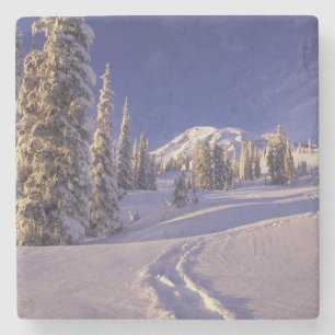 NA, USA, Washington, Mt. Rainier NP, Snowshoe Stone Coaster