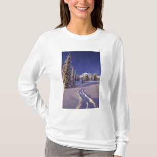 NA, USA, Washington, Mt. Rainier NP, Snowshoe T-Shirt