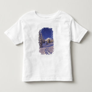 NA, USA, Washington, Mt. Rainier NP, Snowshoe Toddler T-Shirt