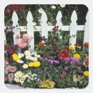 NA, USA, Washington, Sammamish, White picket Square Sticker