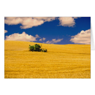 NA, USA, Washington State, Palouse Region,