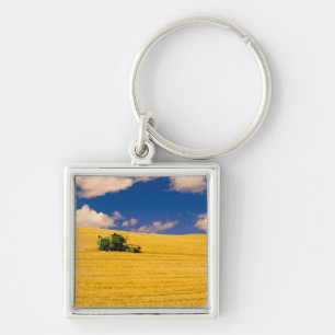 NA, USA, Washington State, Palouse Region, Key Ring