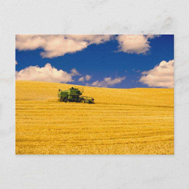 NA, USA, Washington State, Palouse Region, Postcard (Front)