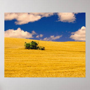 NA, USA, Washington State, Palouse Region, Poster