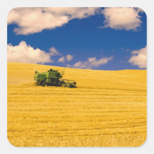 NA, USA, Washington State, Palouse Region, Square Sticker