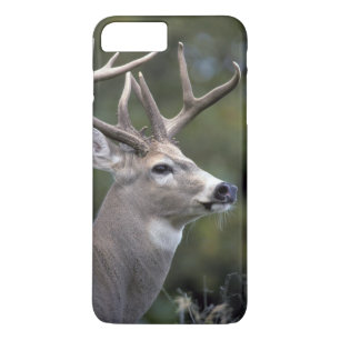 NA, USA, Washington State, White-tailed deer, iPhone 8 Plus/7 Plus Case
