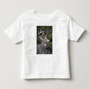 NA, USA, Washington State, White-tailed deer, Toddler T-Shirt