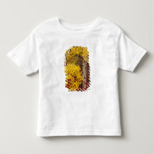 NA, USA, Washington, Wenatchee National Forest. Toddler T-Shirt