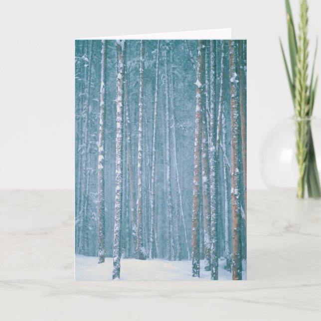 NA, USA, WY. Snowy winter scene among Holiday Card (Front)