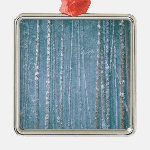 NA, USA, WY. Snowy winter scene among Metal Ornament