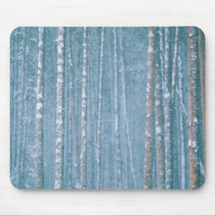 NA, USA, WY. Snowy winter scene among Mouse Pad