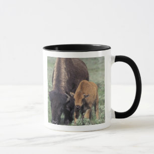 NA, USA, Wyoming, Yellowstone National Park. Mug