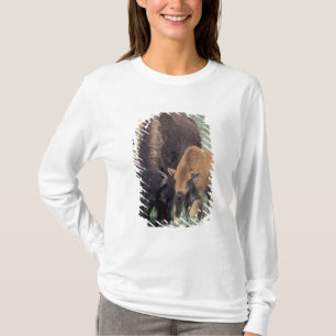 NA, USA, Wyoming, Yellowstone National Park. T-Shirt