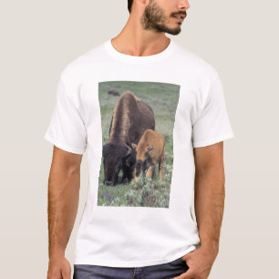 NA, USA, Wyoming, Yellowstone National Park. T-Shirt