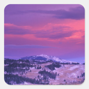 NA, USA, Wyoming, Yellowstone NP, Lamar Valley Square Sticker