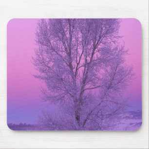 NA, USA, Wyoming, Yellowstone NP, Landscape Mouse Pad