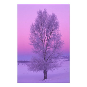 NA, USA, Wyoming, Yellowstone NP, Landscape Photo Print