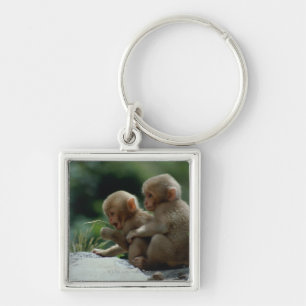 Nagano Prefecture, Japan Key Ring