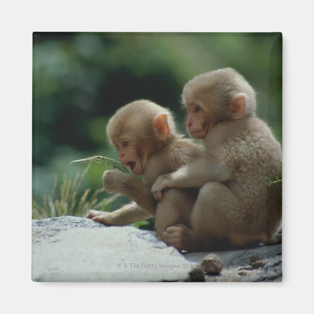 Nagano Prefecture, Japan Magnet (Front)