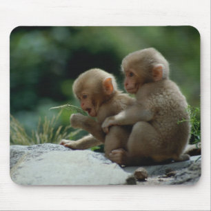 Nagano Prefecture, Japan Mouse Pad