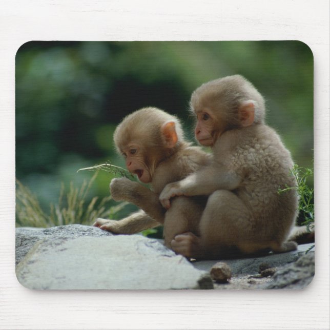 Nagano Prefecture, Japan Mouse Pad (Front)