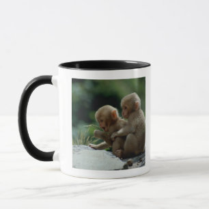 Nagano Prefecture, Japan Mug