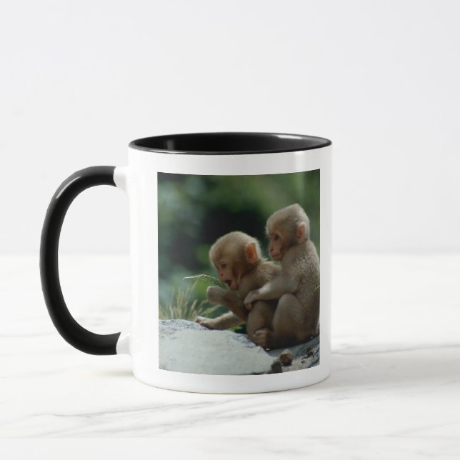 Nagano Prefecture, Japan Mug (Left)