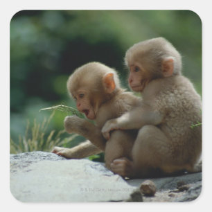 Nagano Prefecture, Japan Square Sticker