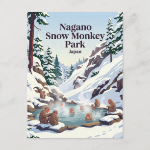 Nagano Snow Monkey Park Japan Postcard