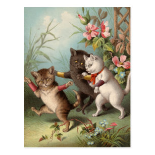 Naghty Cats postcard