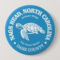 Nags Head (sea turtle)