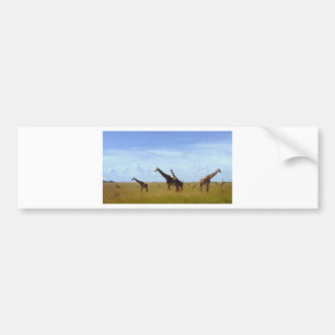 Nairobi National Park Giraffes Bumper Sticker