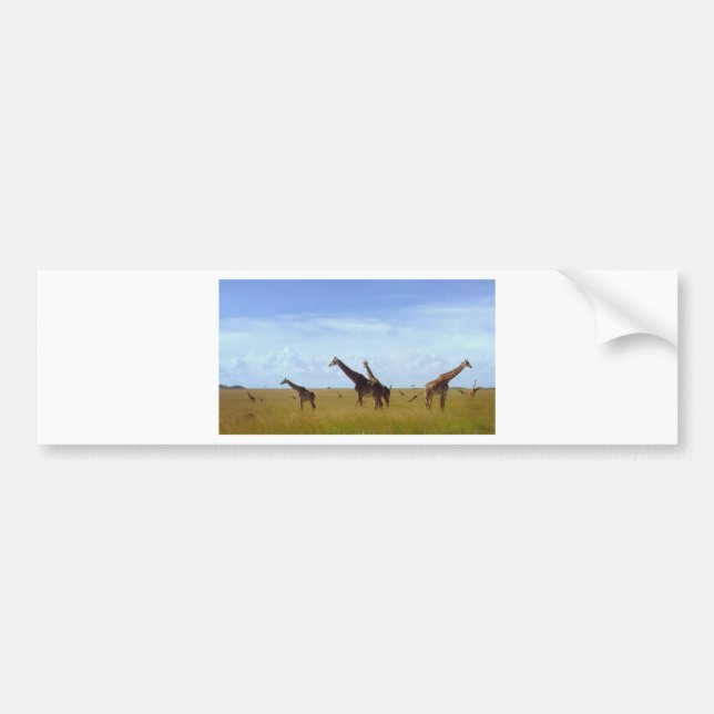 Nairobi National Park Giraffes Bumper Sticker (Front)