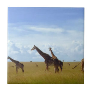 Nairobi National Park Giraffes Ceramic Tile