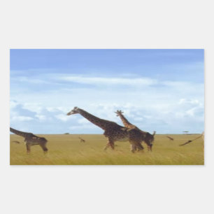 Nairobi National Park Giraffes Rectangular Sticker