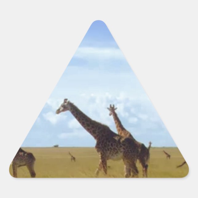 Nairobi National Park Giraffes Triangle Sticker (Front)