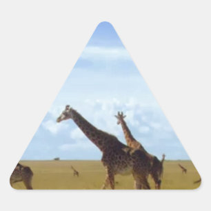 Nairobi National Park Giraffes Triangle Sticker
