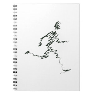 NAIVE NOTEBOOK