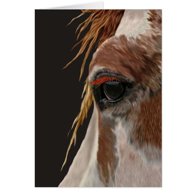 Nakota Horse (Front)