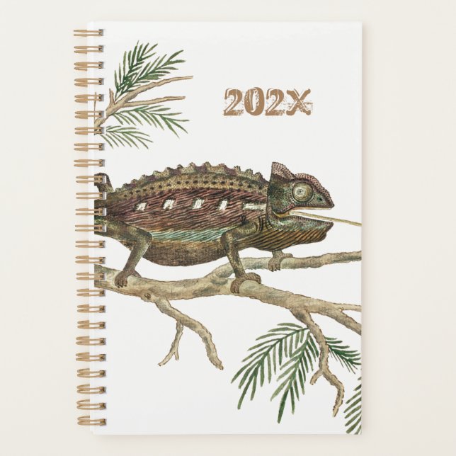 Namaqua chameleon Lizard Reptile Gecko Jigsaw Planner (Front)