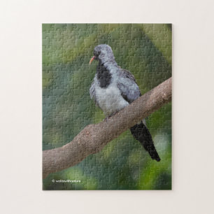 Namaqua Pigeon / Dove in the Tree Jigsaw Puzzle