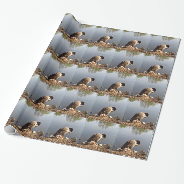 Namaste Goose bows head, Nature, Wildlife, Birds Wrapping Paper (Unrolled)