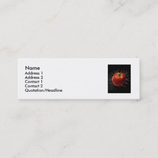 Name, Address 1, Address 2, C... Mini Business Card