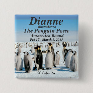name button Penguin Posse 2013 feb