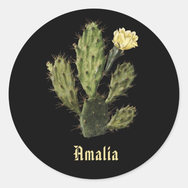 Name Cactus Flower Vintage Drawing Black Sticker (Front)