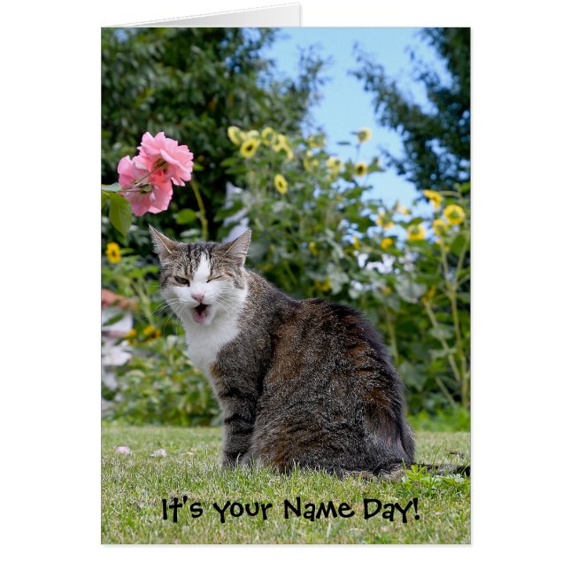 Name Day winking tabby cat (Front)