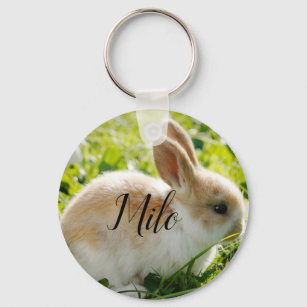 Name Milo bunny keychain