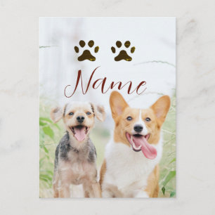 name pet animal dog cat paw simple photo minimal postcard