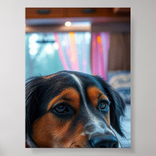 Name: Sleeping Dog Dreams Poster