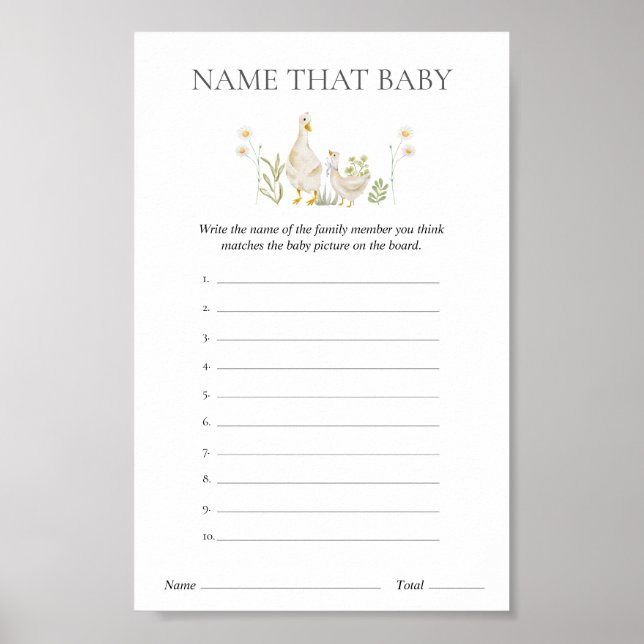 Name That Baby Silly Goose Baby Shower Game Poster (Front)